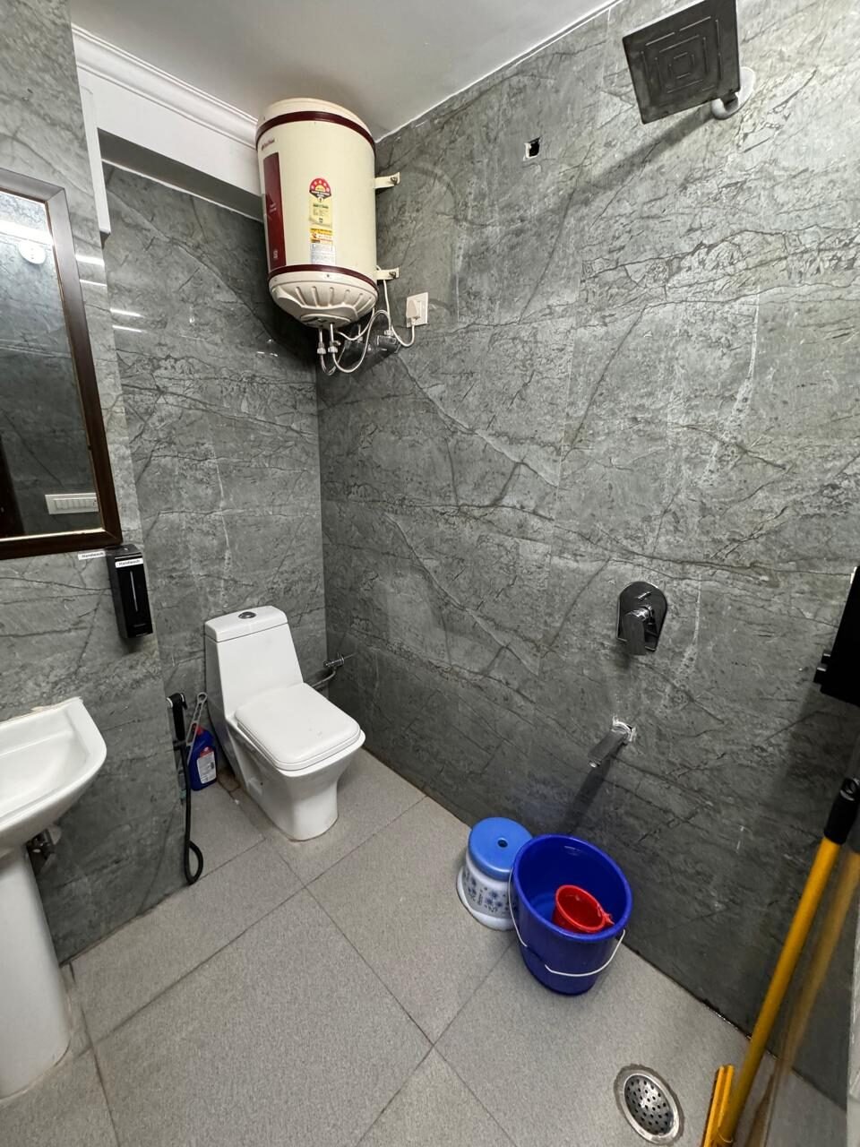 Lemon Grass photo 11