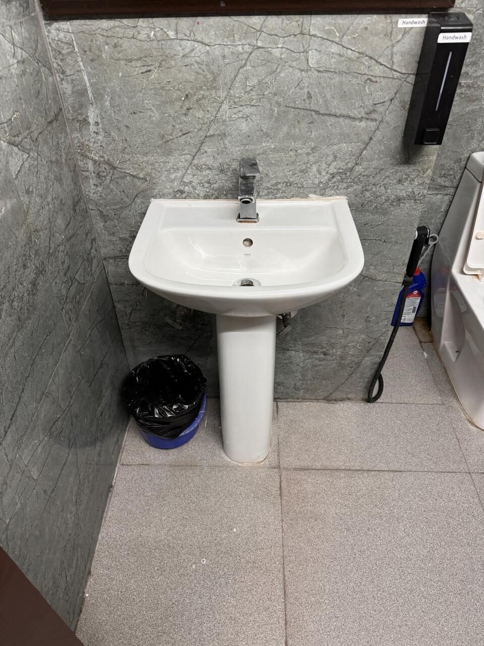 Lemon Grass photo 12